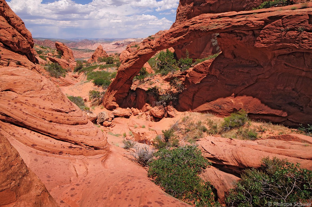 Diapositive suivante